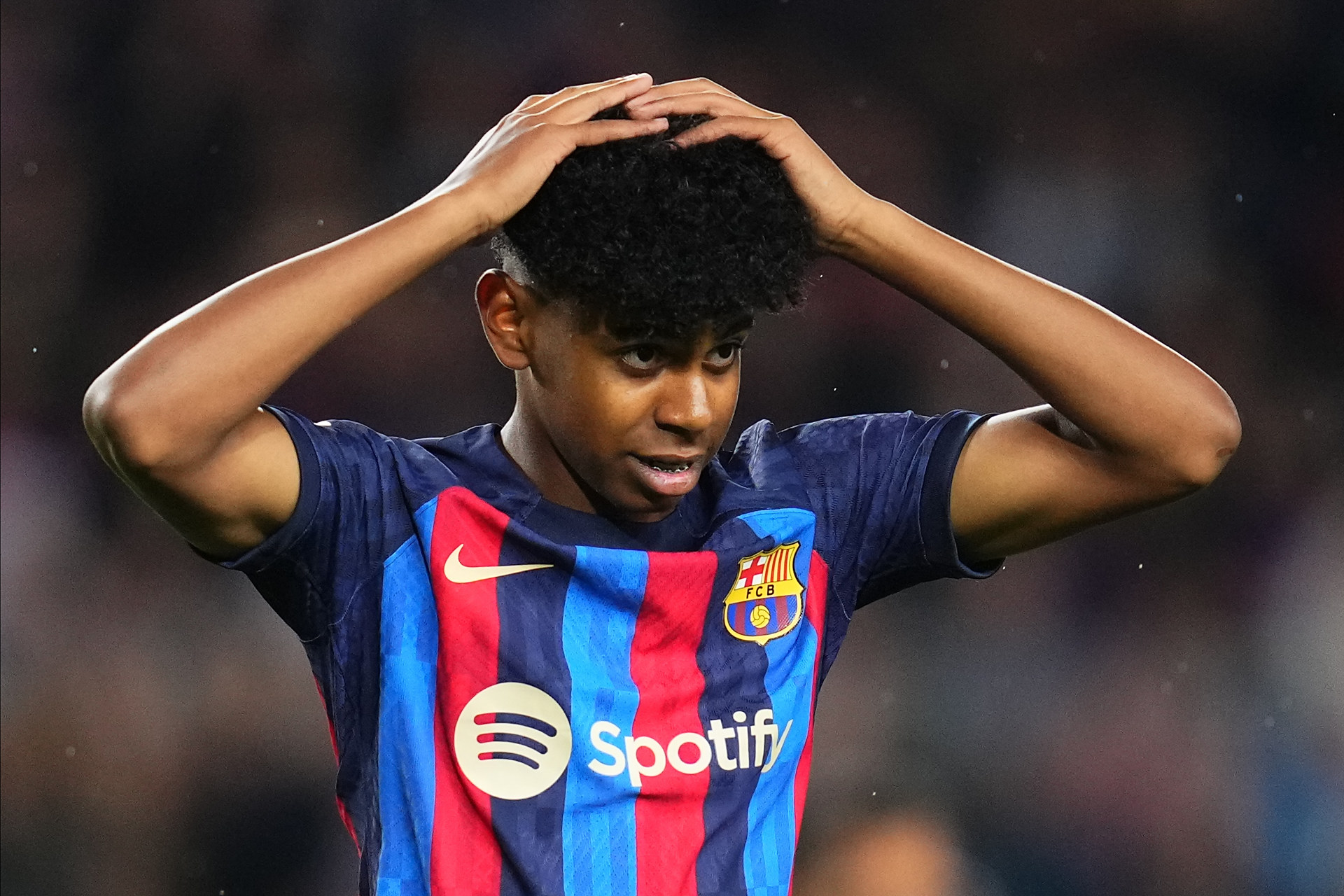 也常被 也常被